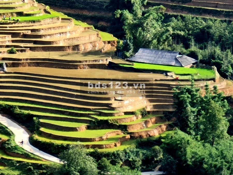 Đất Y Tý- Sapa 2, Cơ hội đầu tư đón sóng quy hoạch du lịch nghỉ dưỡng 4 mùa