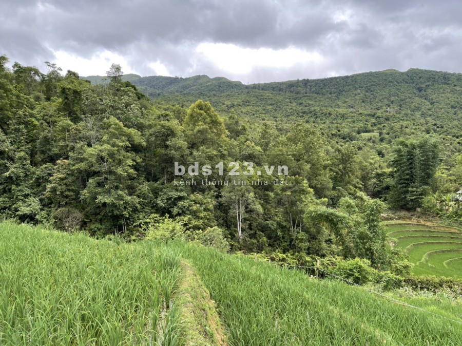 Đất làm Homestay, du lịch nghỉ dưỡng giá rẻ tại Y Tý – Sapa 2 – Lào Cai