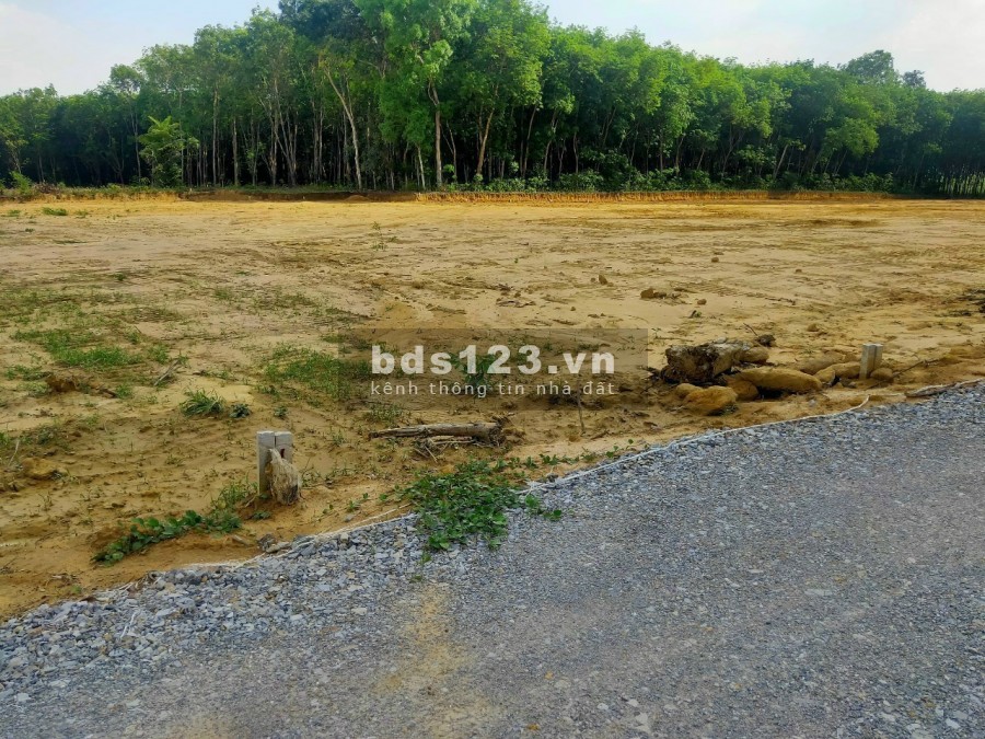 Bán đất tại phường Vĩnh Tân,Tân Uyên, Bình Dương, giá bán 960 triệu, lhcc