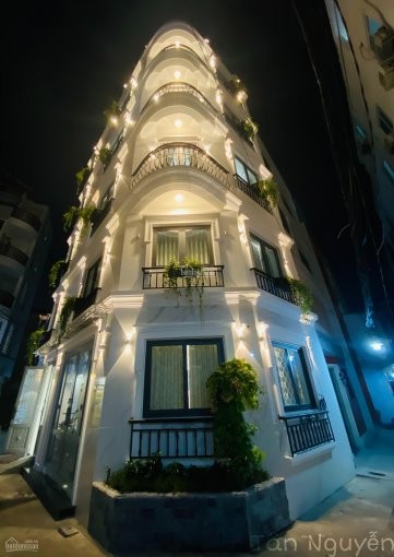 Tuyệt tác nhà phố đường Phạm Viết Chánh, Phường Nguyễn Cư Trinh, Quận 1 giá cực hấp dẫn