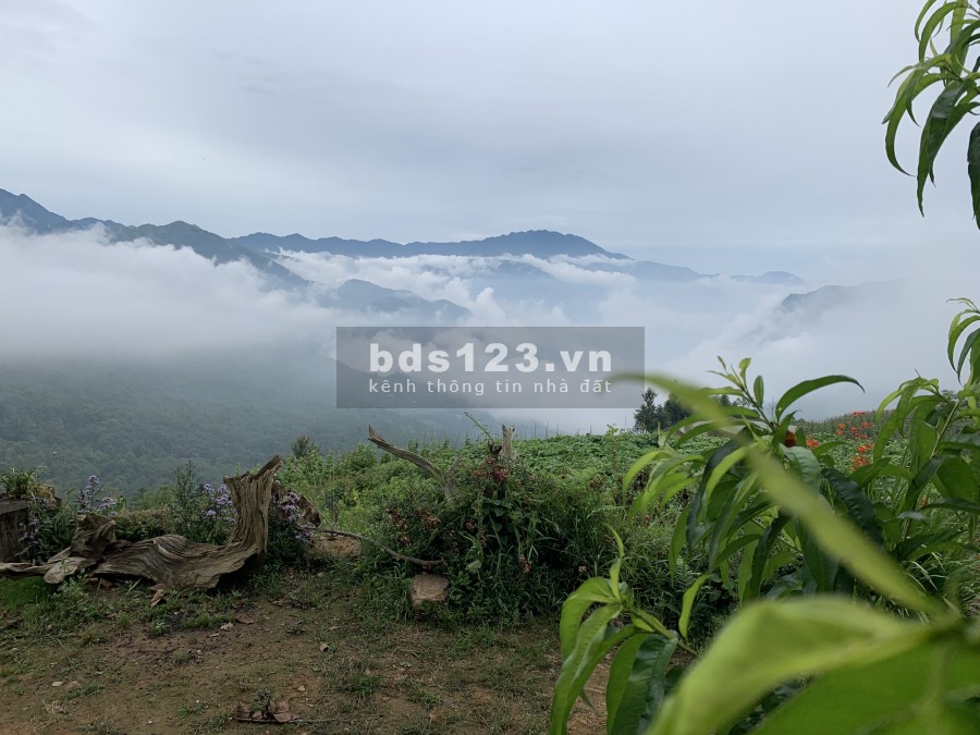 Em bán mảnh đất tại Phan Cán Sử Sapa 2, giá đầu tư siêu rẻ, giá 400m2