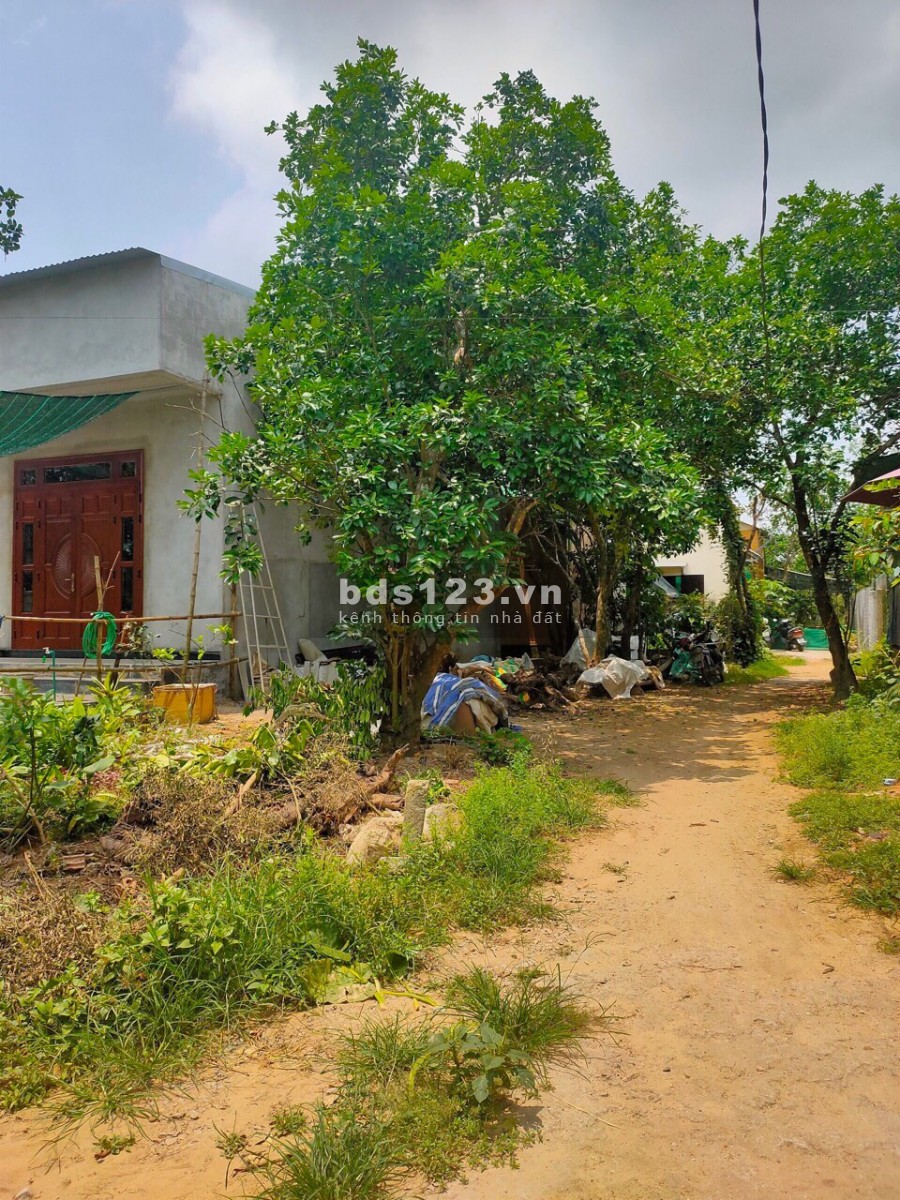 Bán đất kiệt Lý Nam Đế mở đường 13.5m, chính chủ bán giá thương lượng, có sổ