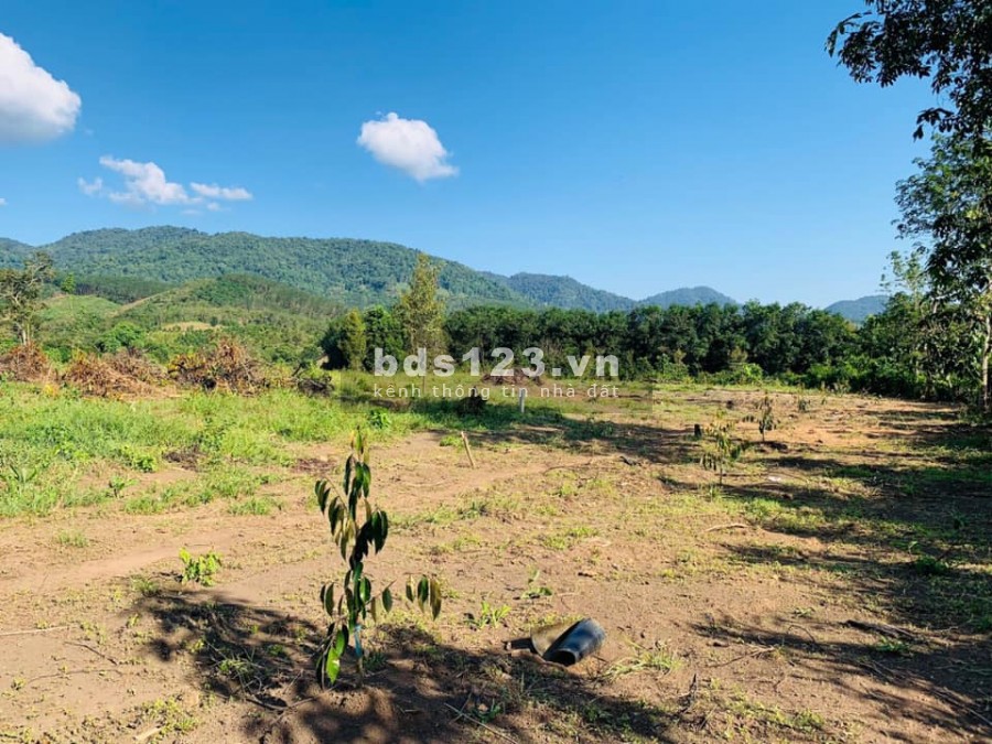 Bán lô đất diện tích sử dụng 764m2, Nam Ban, giá 1.5 Tỷ, đường bê tông View Đồi