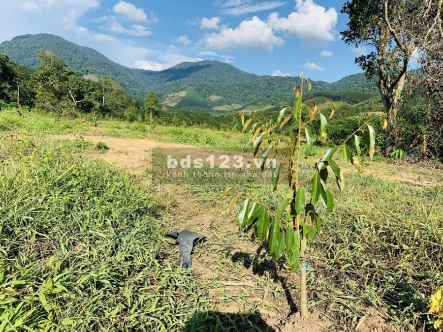Bán lô đất diện tích sử dụng 764m2, Nam Ban, giá 1.5 Tỷ, đường bê tông View Đồi