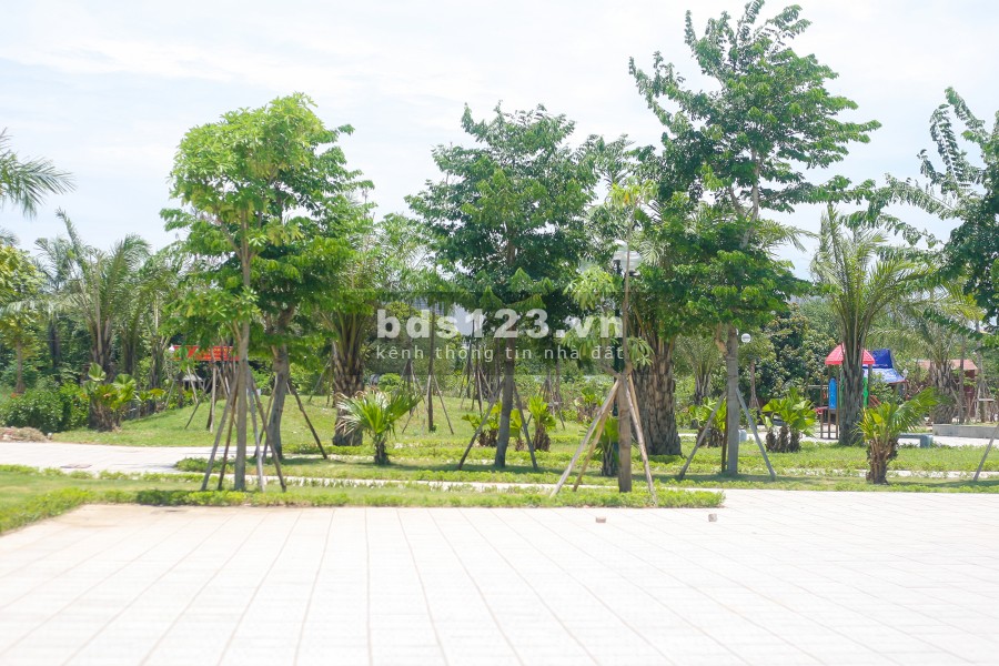 Chính chủ cho thuê mặt bằng kinh doanh shophouse, view nhìn thẳng ra công viên, luôn đông đúc