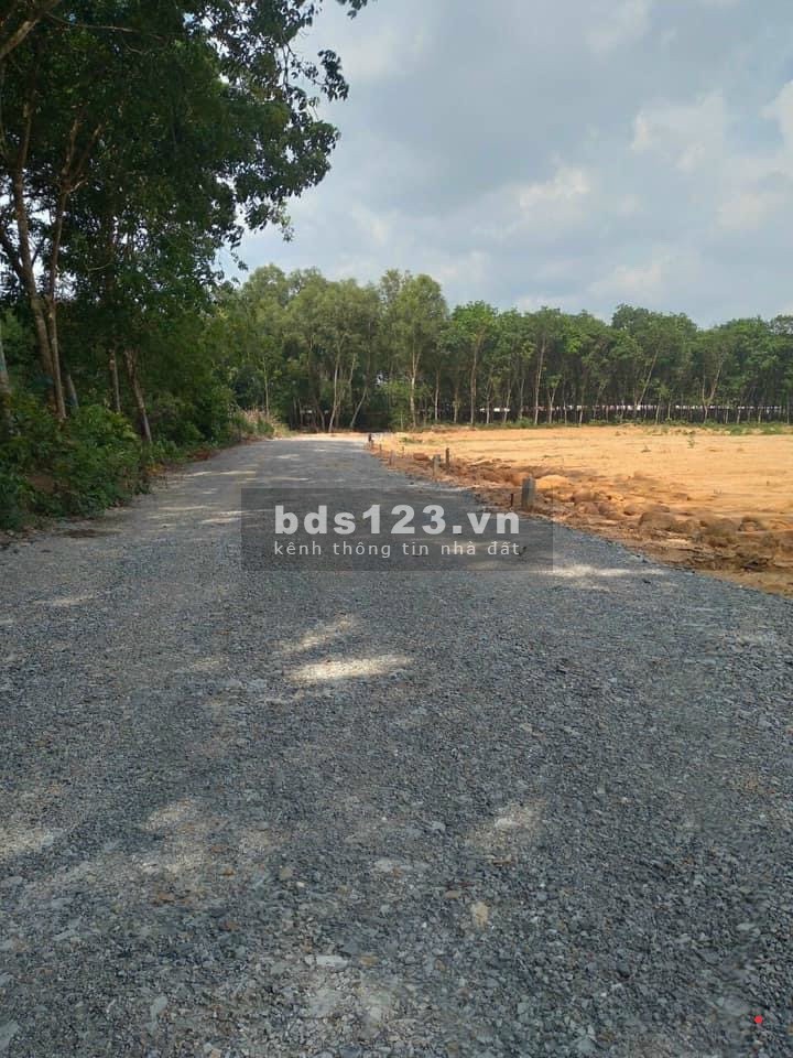 Bán đất tại phường Vĩnh Tân,Tân Uyên, Bình Dương, giá bán 960 triệu, lhcc