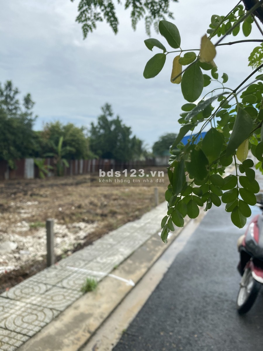 Bán đất Củ Chi giá sốc mùa dịch sổ hồng riêng, bao test quy hoạch, lhcc