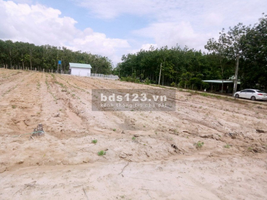 Bán 1000m2 đất Phước Bình Long Thành, giá 2tr1/m2, đất ONT. Lh 0393 760 544