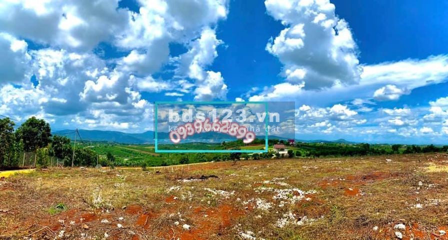 Đất nghỉ dưỡng và đầu tư lâu dài ở Đà Lạt giá rẻ, pháp lý rõ ràng hạ tầng hoàn thiện