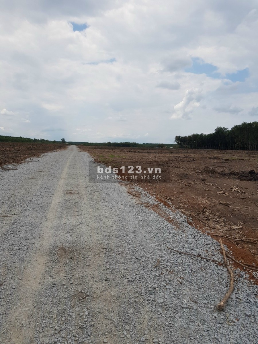 Cần tiền đáo hạng ngân hàng bán gấp lô đất sào 1000m2, đất ở đô thị