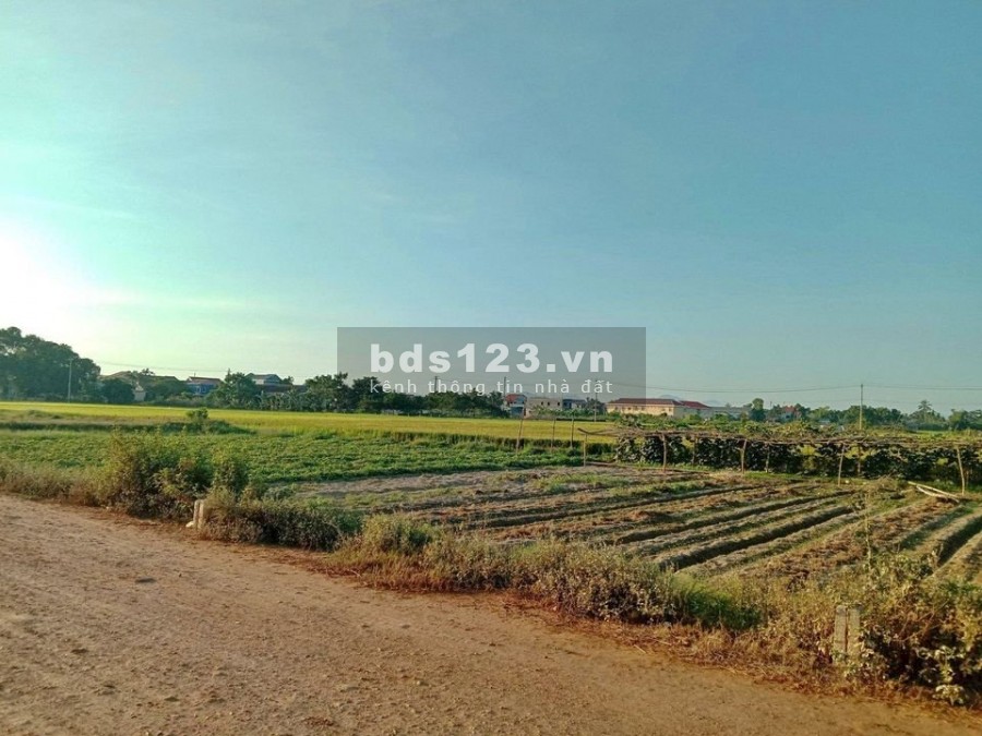 Bán đất giỏ hàng Vip Dương Nổ Cồn, liên hệ 0346229509, giá bán 10 triệu/m2, lhcc