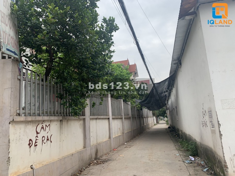 Cần Bán 50m2 Đất Siêu Rẻ Tại Thôn Hải Bối. Đông Anh, Hà Nội, giá bán 1.452 tỷ