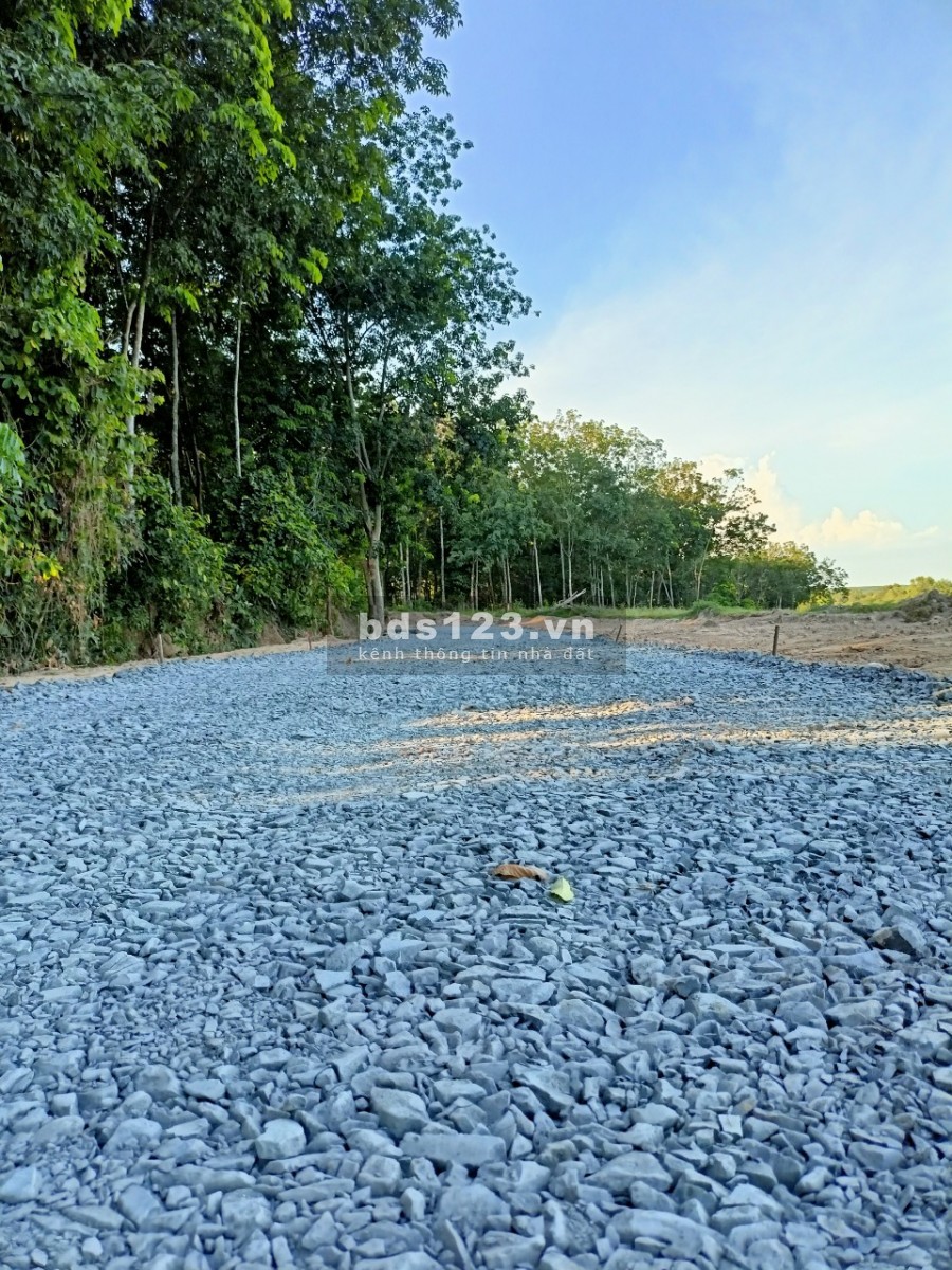 Đất Tân Uyên gía rẻ ngay KCN Phú Chánh , chợ, bệnh viện, sổ sẵn,chỉ 3,5 tr/m2 dân cư bao quanh