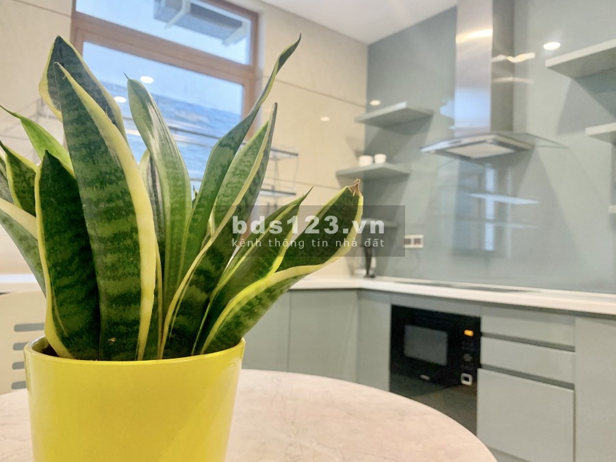 Căn hộ dịch vụ cao cấp quận 2 cho thuê giá rẻ - chuẩn khách sạn 4 sao