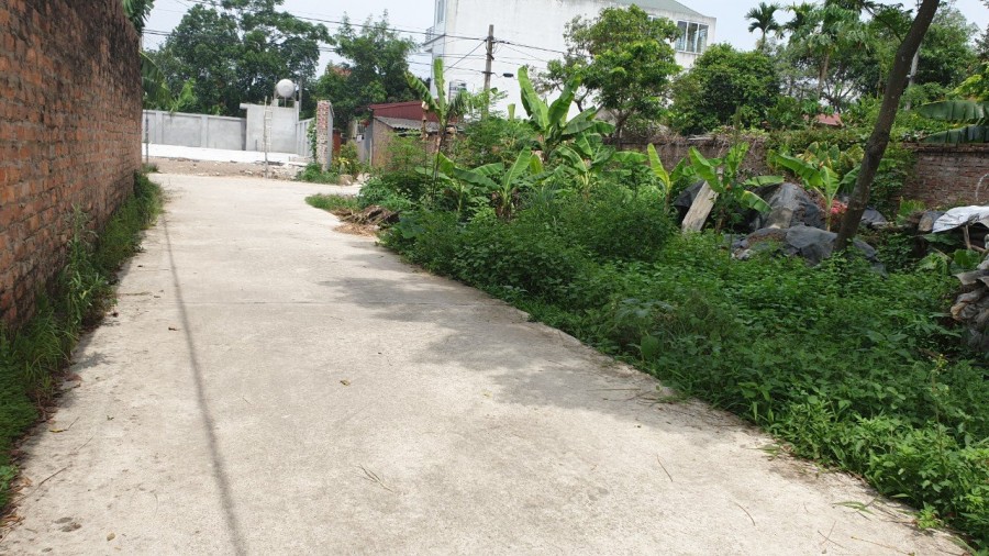 Cần bán lô góc 3 mặt tiền 461m2 mặt tiền 43m tại Đan Tảo Tân Minh, giá bán 3.45 tỷ