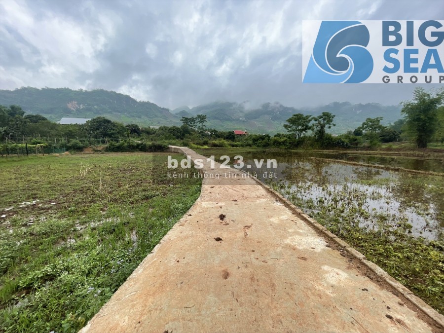 Đất nền Mộc Châu giá rẻ nhất tháng 7/2021, đường bê tông vào tận nhà, lhcc