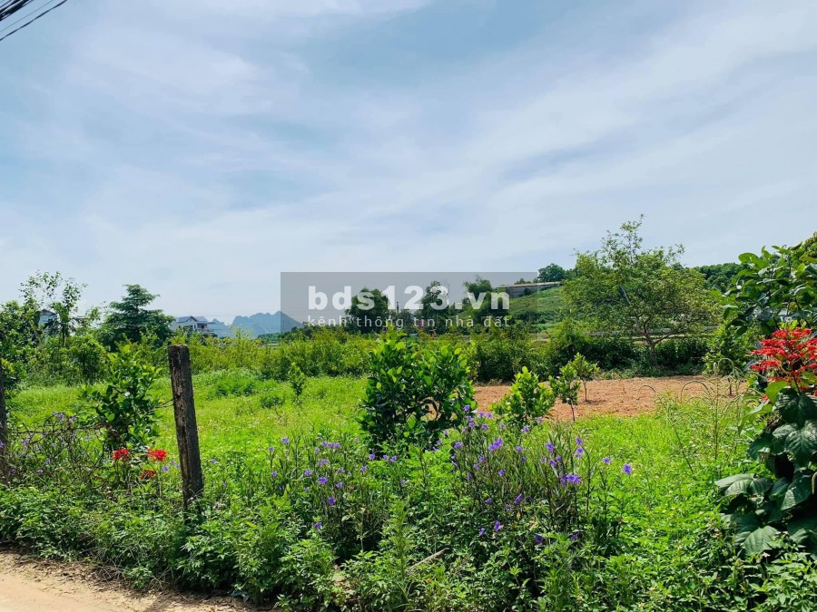 Bán đất cư Yên Lương Sơn Hòa bình giá đầu tư, sẵn nhà cấp 4 mái thái