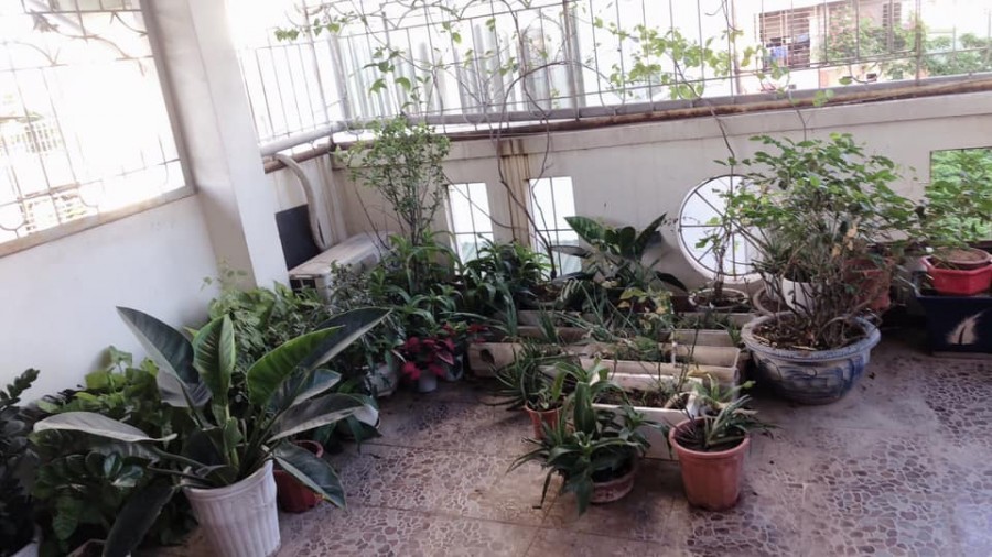 Bán nhà Lô góc Thụy Khuê Dt 40m x 5m, Mt 5m, Kinh doanh, giá 5.98 tỷ, Tây Hồ.