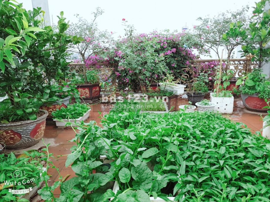 Bán nhanh nhà phân lô Tư Đình- hàng hiếm, giá tốt, tặng toàn bộ nội thất, 5 tầng