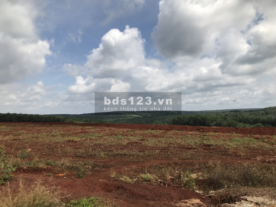 Dịch cần ra gấp vài miếng đất MT ĐT741 350tr/100m2 Mình có miếng đất cần bán nằm ở MT DT741 cách trung tâm Phư