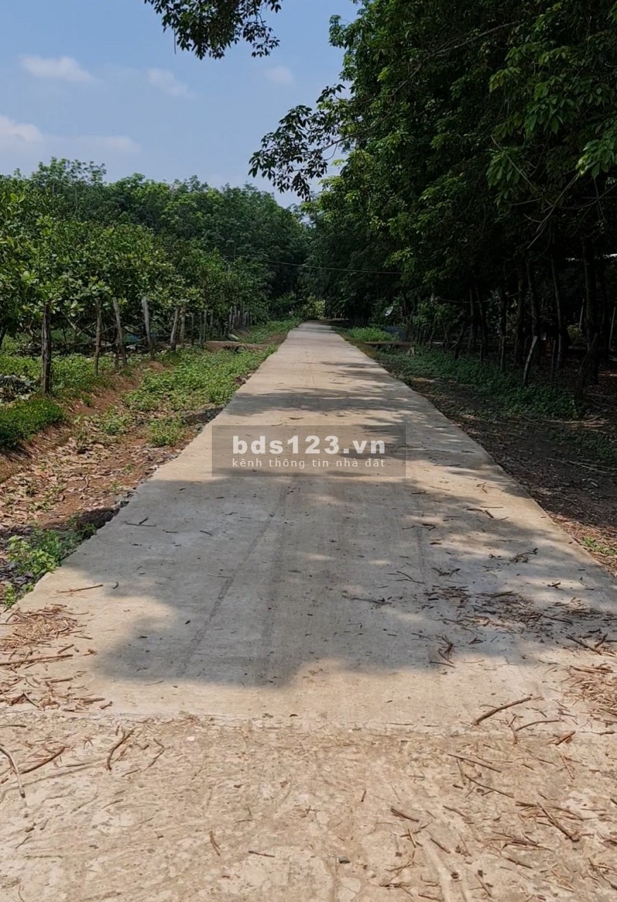 Bán đất Chơn Thành vị trí đẹp đắt địa giá đầu tư, liên hệ 0387358087