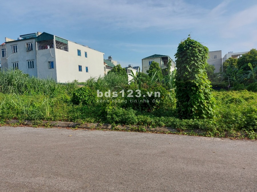 bán gấp giá rẻ khu tdc phú cát tiện nghi sát đại lô thăng long vài trăm mét