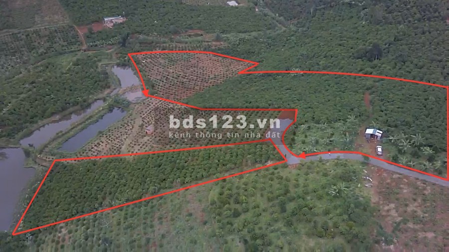 Bán nhanh lô đất xã Lộc An huyện Bảo Lâm, diện tích 1000m2, giá 600 triệu