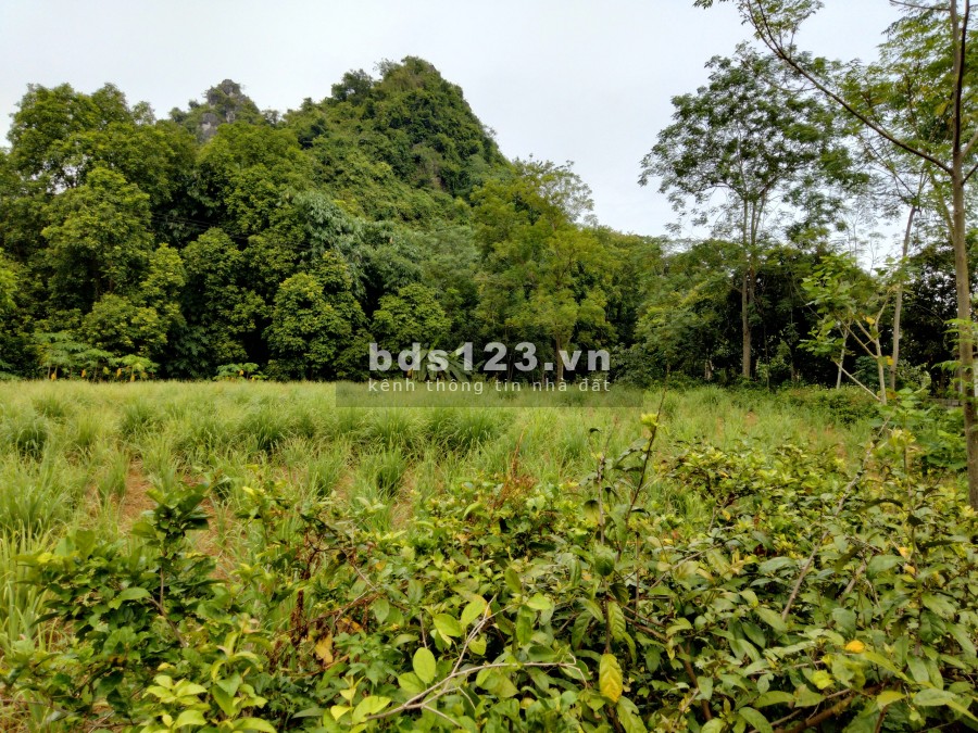2000m2 full thổ cư đât phẳng đẹp hợp Châu Lương Sơn, giá 1.6 tỷ, lh 0985988333