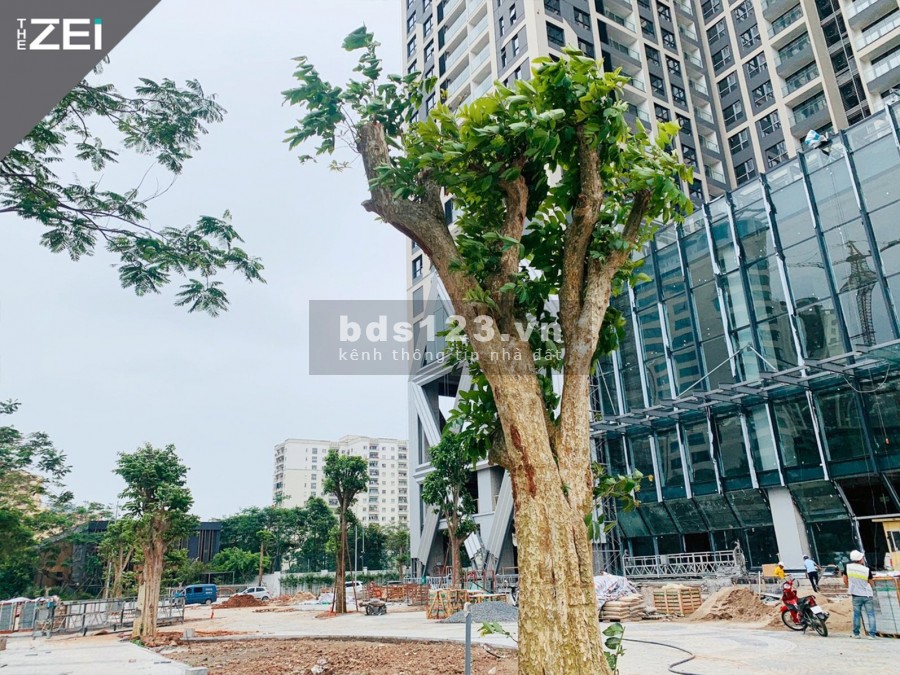 Căn hộ The Zei tầng 12 diện tích 104m2 hướng Nam mát chiết khấu 400Tr