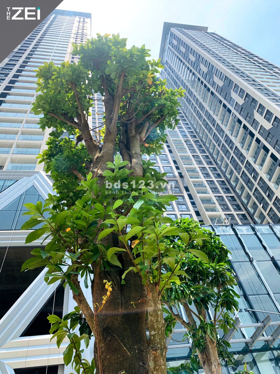 Căn hộ The Zei tầng 12 diện tích 104m2 hướng Nam mát chiết khấu 400Tr