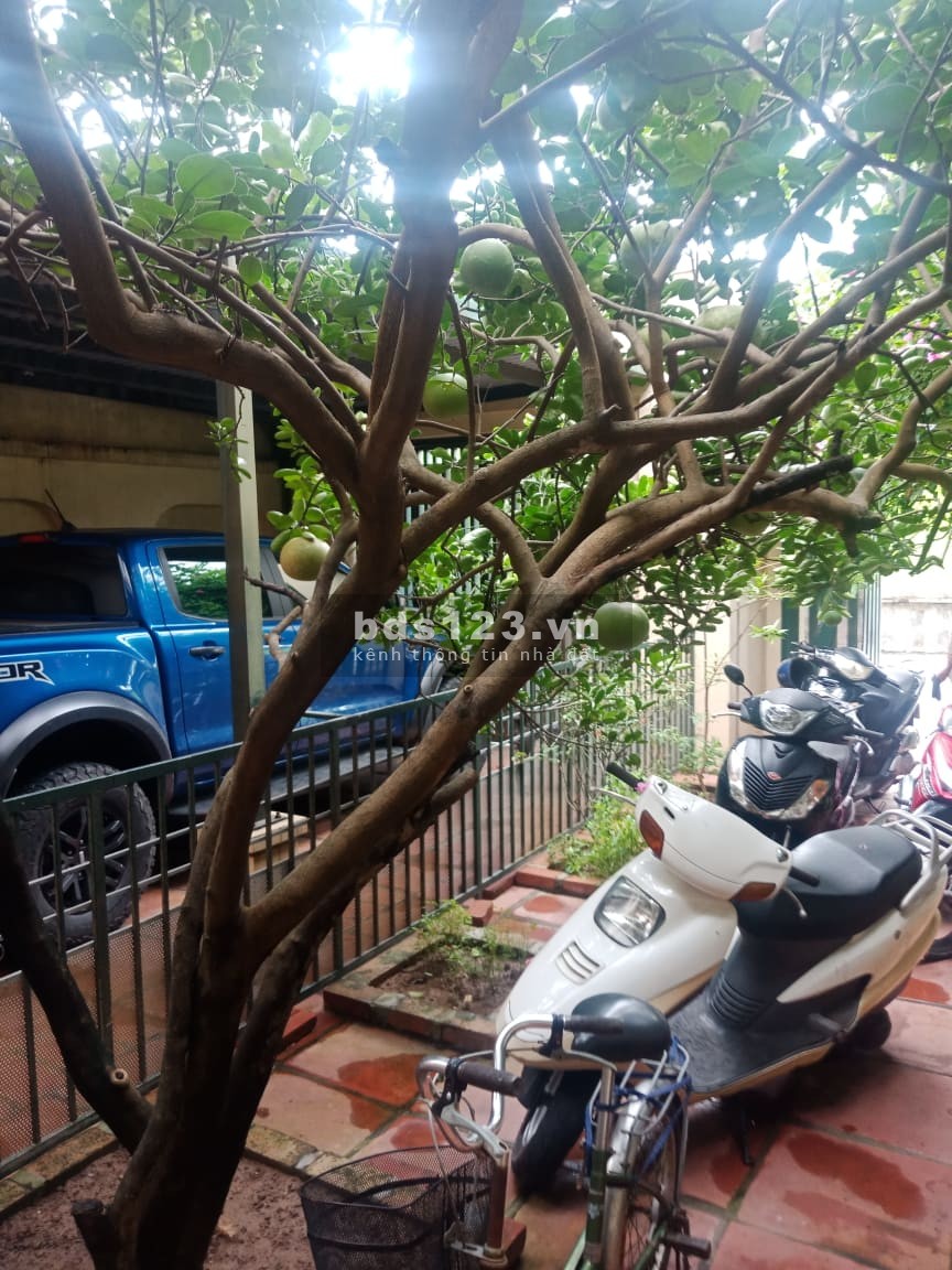 Biệt Thự, Siêu Đẹp, Bồ Đề, diện tích 300m2 mt 8.5m Bồ Đề, Quận Long Biên