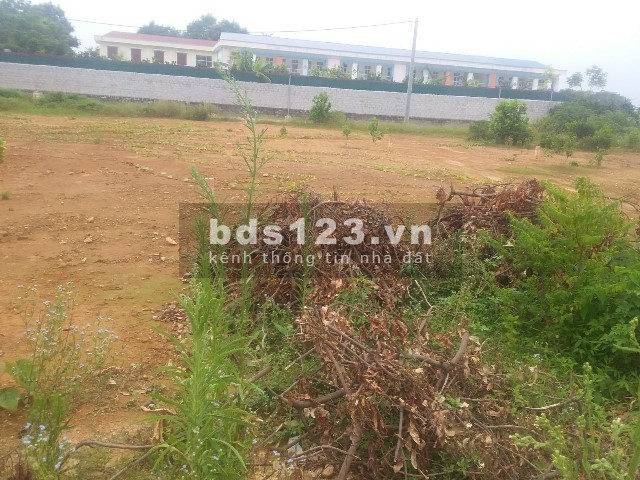 Chính chủ bán lô đất đấu giá Thanh Oai 97.5m2, trục chính xã, giá đầu tư 14.5 triệu/m2