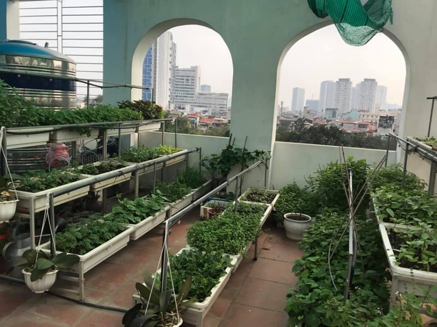 Mặt ngõ như phố kinh doanh đỉnh, Trần Quang Diệu, Đống Đa, 90m2, 9T, mt 6.1m, Giá chào 28,9 tỷ,