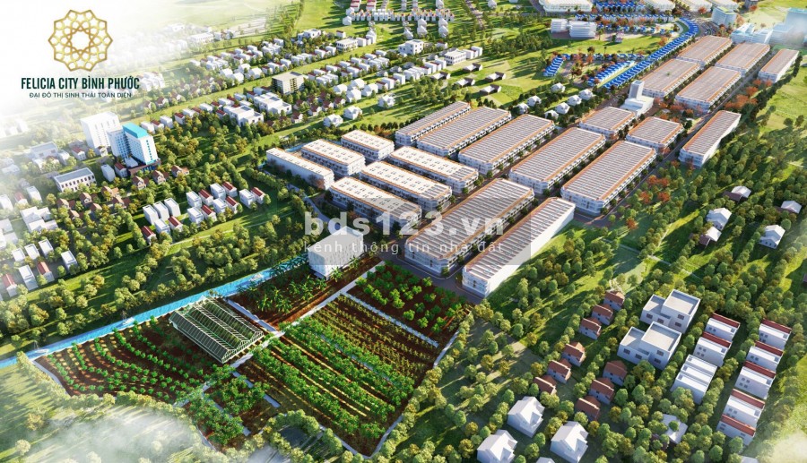 Dự Án Đất Nền Felicia City Bình Phước chỉ 400 triệu/nền, ngân hàng hỗ trợ 50%