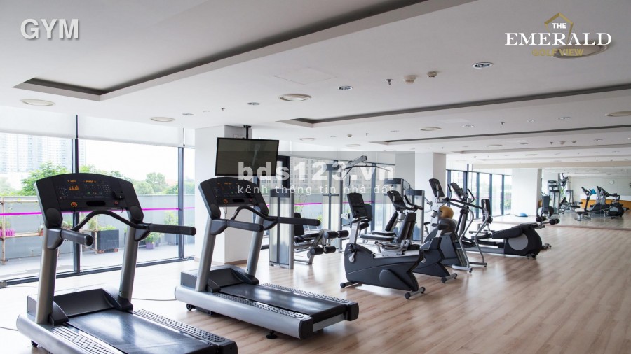 Ưu đãi suất nội bộ đẹp nhất dự án Emeral Golf View, ngân hàng hỗ trợ 70%
