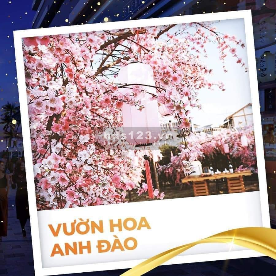 Căn hộ view biển quy nhơn takashi ocean suite, sở hữu lâu dài, sổ hồng đầy đủ