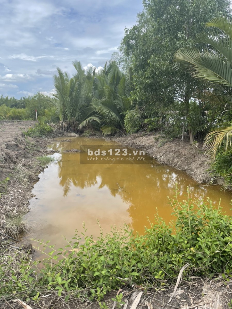 Đất 1756.8m2 giá tốt đầu tư An Thới Đông, huyện Cần Giờ, giá bán 2.5 tỷ, lhcc