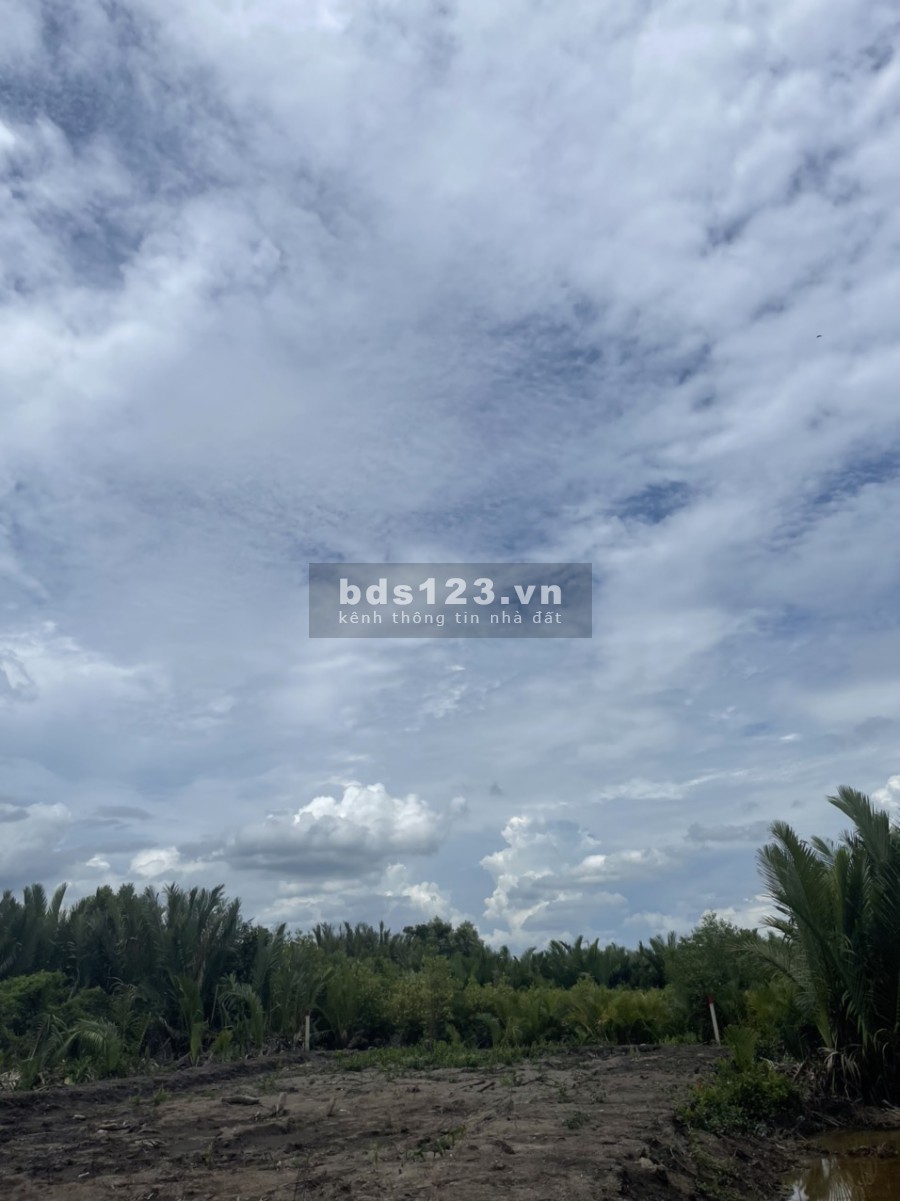 Đất 1756.8m2 giá tốt đầu tư An Thới Đông, huyện Cần Giờ, giá bán 2.5 tỷ, lhcc