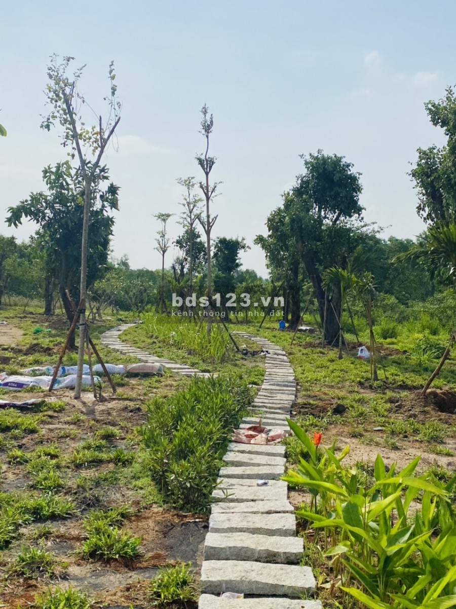 Bán đất Tp Biên Hoà, thổ cư, sổ hồng riêng từng nền ngân hàng hổ trợ 50%