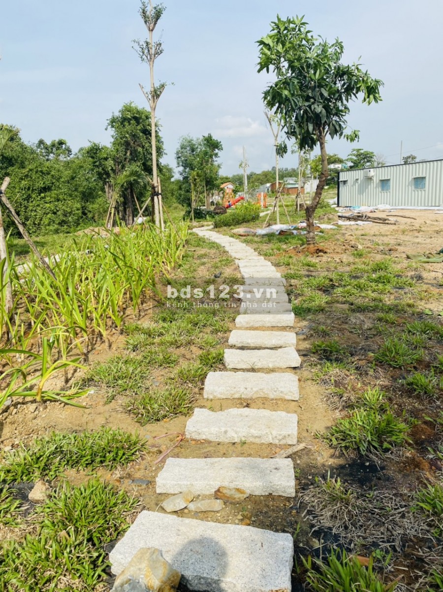 Bán đất Tp Biên Hoà, thổ cư, sổ hồng riêng từng nền ngân hàng hổ trợ 50%