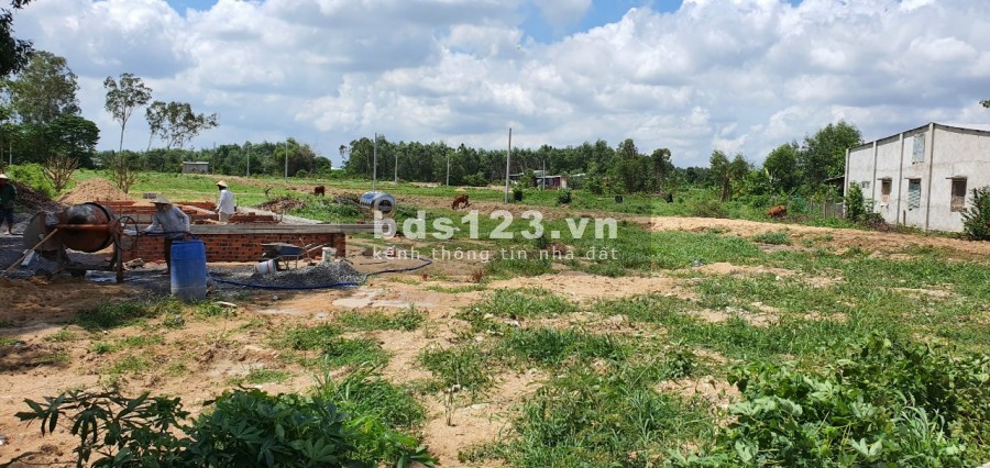Nhà vườn không gian mở cách khu công nghiệp Châu Đức Sonadezi 500m, lh 0867890241