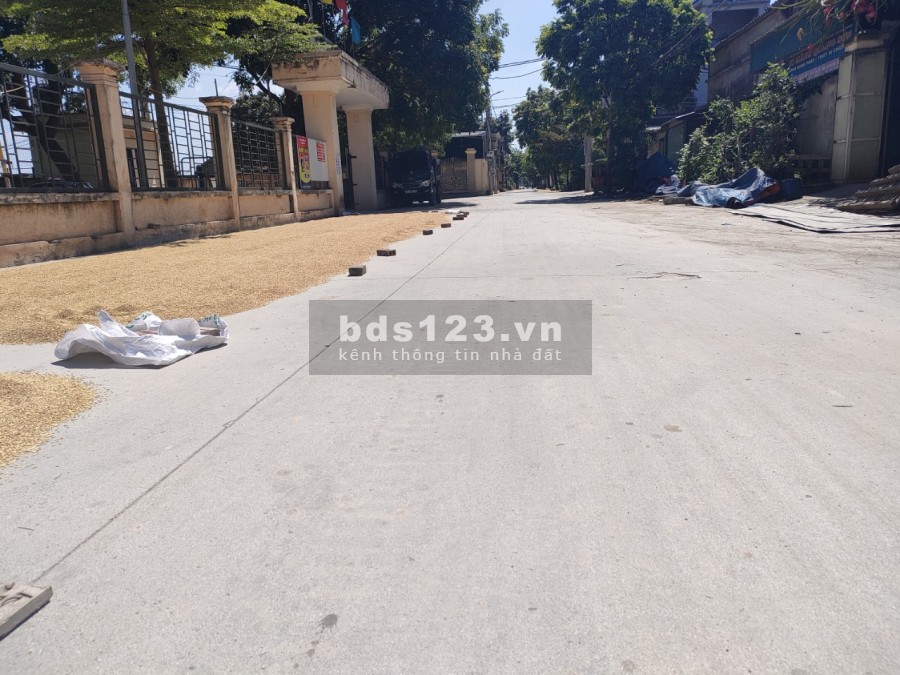 Cần bán 75m2, đất trục kinh doanh giá đầu tư ở Phúc Hậu, Dục Tú, Đông Anh