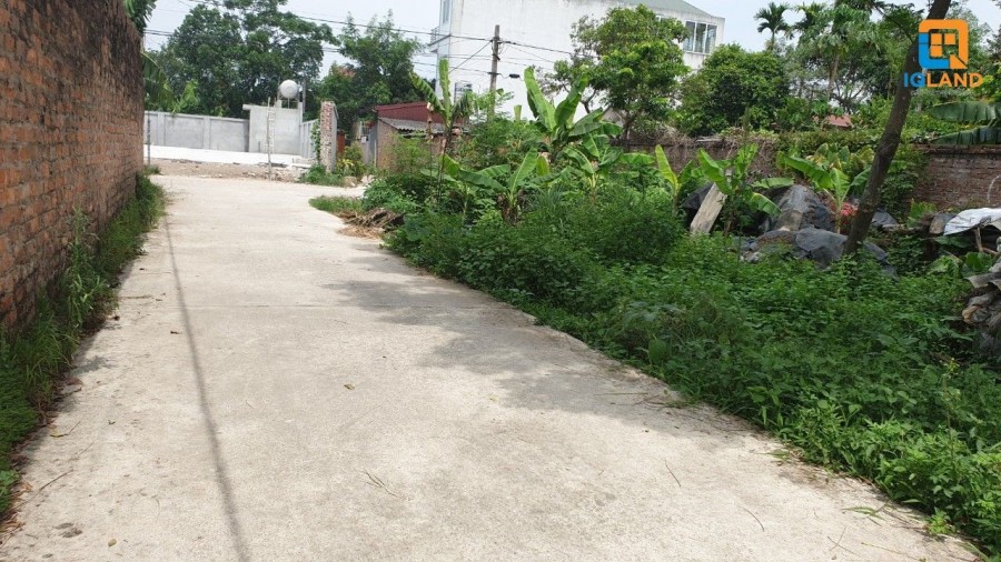 Cần bán lô góc 3 mặt tiền 461m2 mặt tiền 43m tại Đan Tảo – Tân Minh. Giá công khai: 6.8tr/m2️️