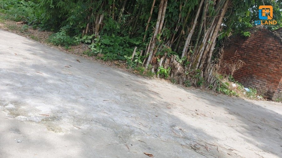 Cần bán lô góc 3 mặt tiền 461m2 mặt tiền 43m tại Đan Tảo – Tân Minh. Giá công khai: 6.8tr/m2️️