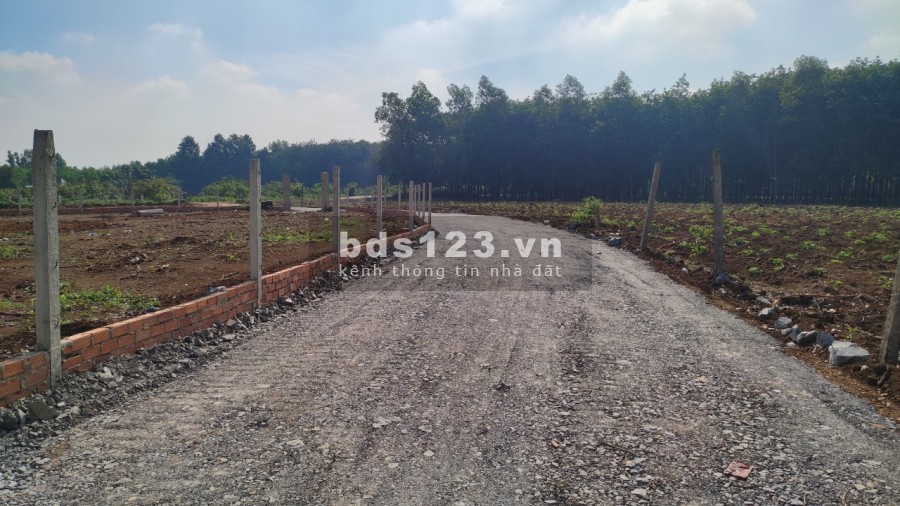 Bán 1000m2 đất vườn gần thị Trấn Trảng Bom, pháp lí sổ hồng riêng