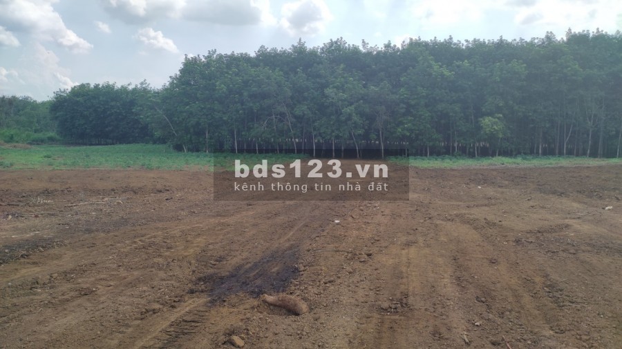 Bán 1000m2 đất vườn gần thị Trấn Trảng Bom, pháp lí sổ hồng riêng