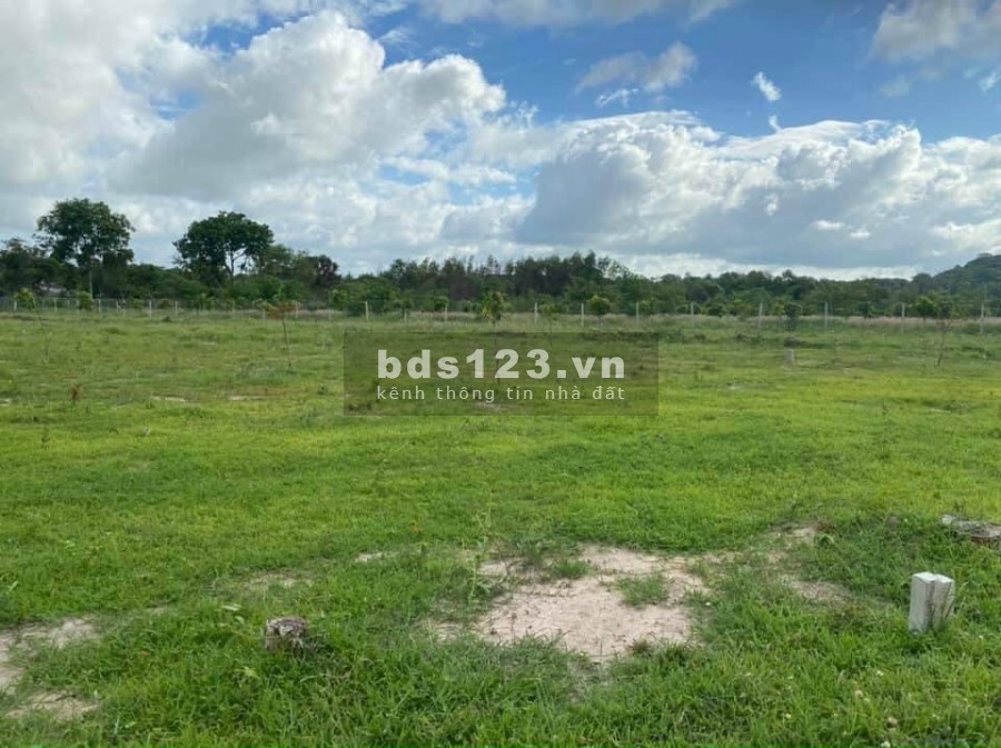 Bán đất sổ chung Long Hải đường Hải Lâm, Bầu Trứ, thuộc khu C, xã Phước Hưng giá 250tr - 350tr