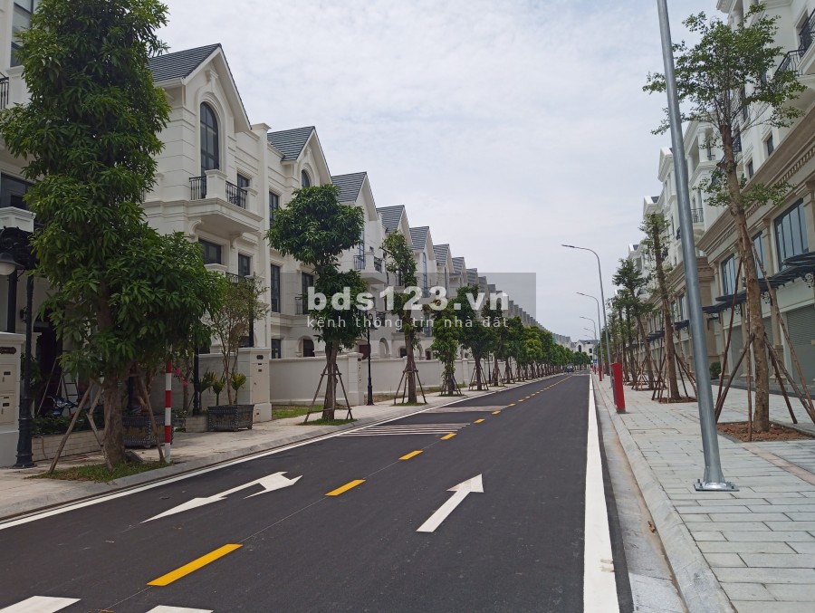 Cần Bán Biệt Thự Song Lập Khu Hải Âu Vinhomes Ocean Park