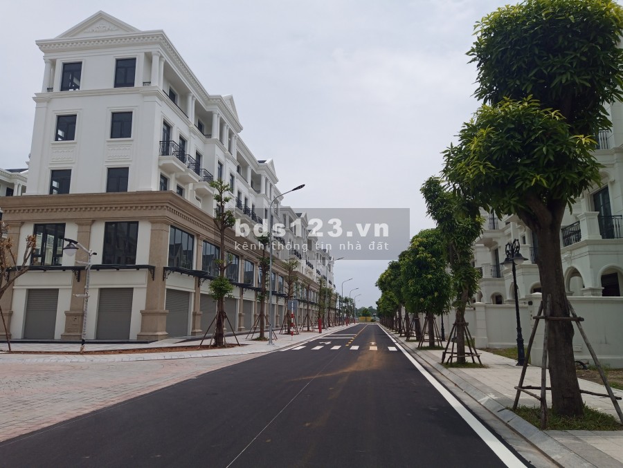 Cần Bán Biệt Thự Song Lập Khu Hải Âu Vinhomes Ocean Park