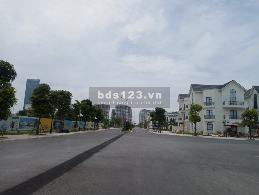 Cần Bán Biệt Thự Song Lập Khu Hải Âu Vinhomes Ocean Park